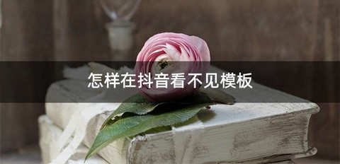 怎样在抖音看不见模板