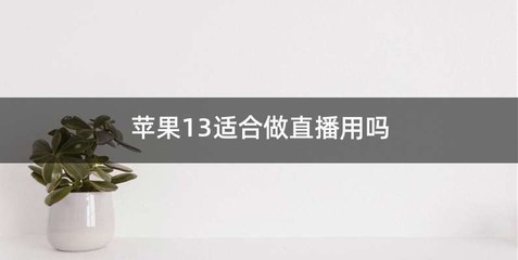 苹果13适合做直播用吗