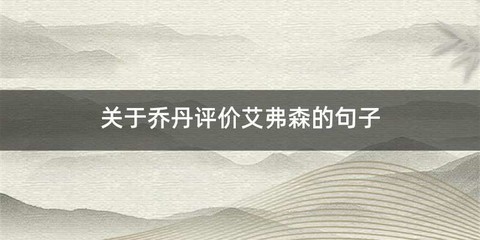 关于乔丹评价艾弗森的句子
