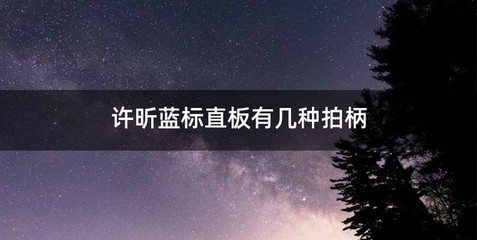 许昕蓝标直板有几种拍柄