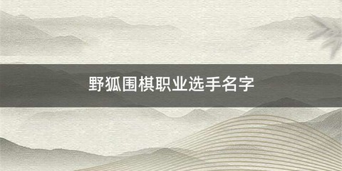 野狐围棋职业选手名字