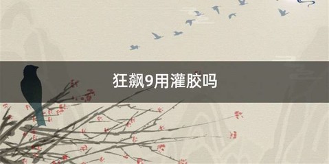 狂飙9用灌胶吗