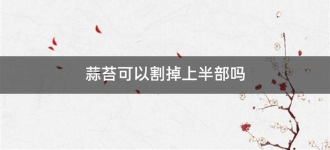 蒜苔可以割掉上半部吗