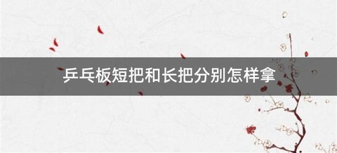 乒乓板短把和长把分别怎样拿