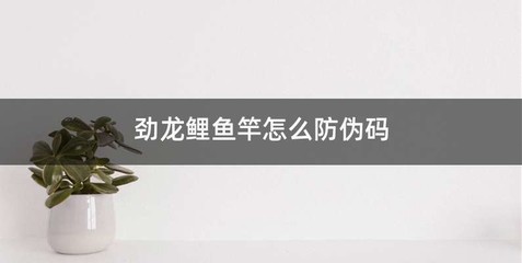 劲龙鲤鱼竿怎么防伪码
