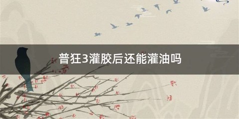 普狂3灌胶后还能灌油吗