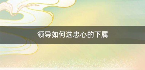 领导如何选忠心的下属