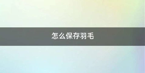 怎么保存羽毛