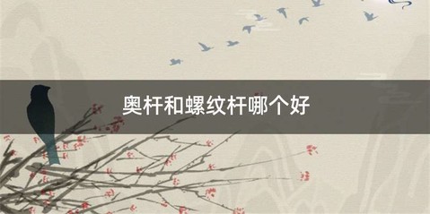 奥杆和螺纹杆哪个好