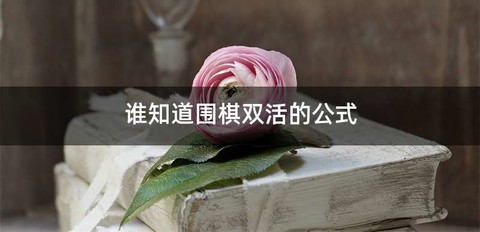谁知道围棋双活的公式