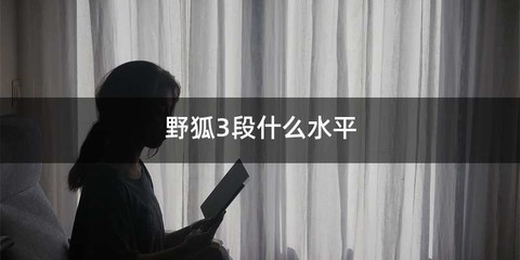 野狐3段什么水平