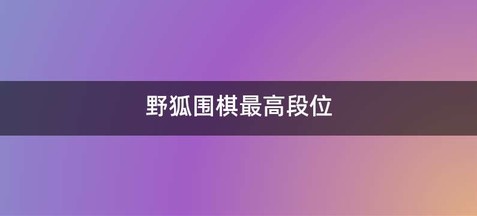 野狐围棋最高段位