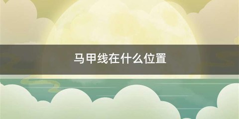 马甲线在什么位置
