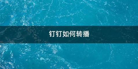 钉钉如何转播