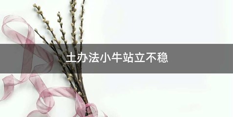 土办法小牛站立不稳