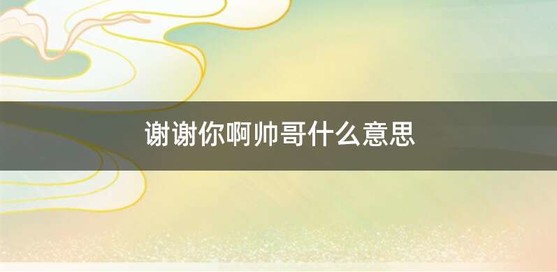 谢谢你啊帅哥什么意思