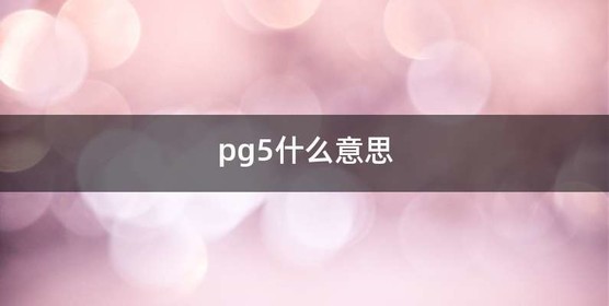 pg5什么意思