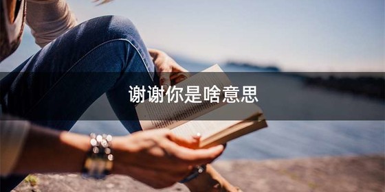 谢谢你是啥意思