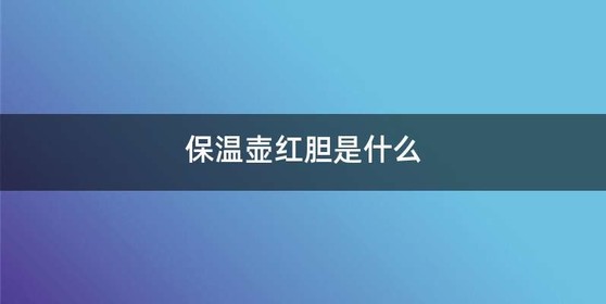 保温壶红胆是什么
