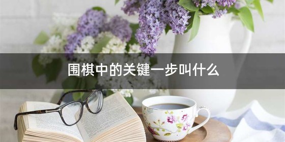 围棋中的关键一步叫什么