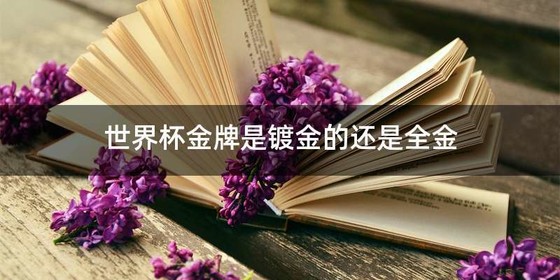 世界杯金牌是镀金的还是全金