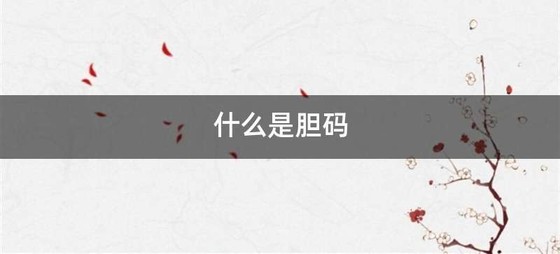 什么是胆码