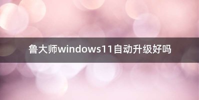 鲁大师windows11自动升级好吗
