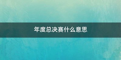 年度总决赛什么意思
