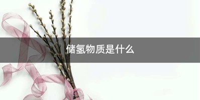 储氢物质是什么