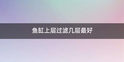 鱼缸上层过滤几层最好
