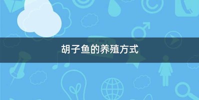 胡子鱼的养殖方式