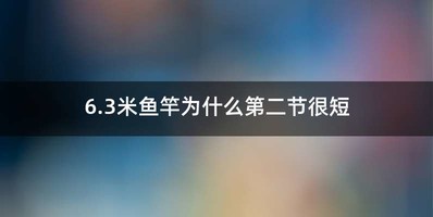 6.3米鱼竿为什么第二节很短