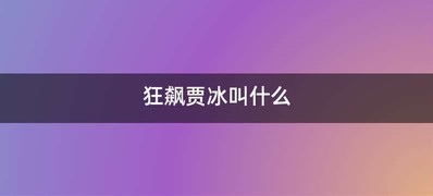 狂飙贾冰叫什么