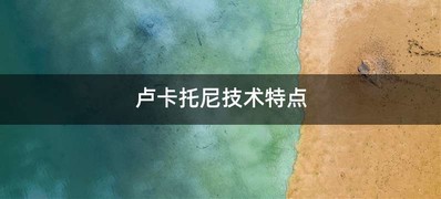 卢卡托尼技术特点