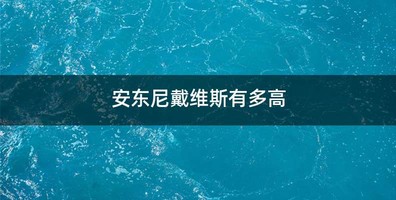 安东尼戴维斯有多高