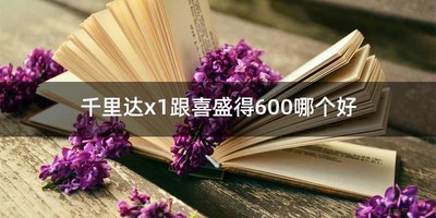 千里达x1跟喜盛得600哪个好