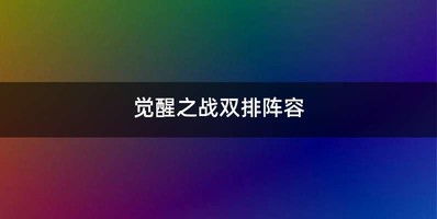 觉醒之战双排阵容