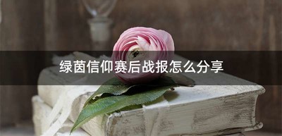 绿茵信仰赛后战报怎么分享