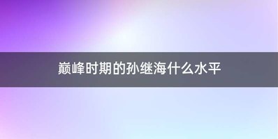 巅峰时期的孙继海什么水平