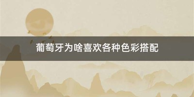 葡萄牙为啥喜欢各种色彩搭配