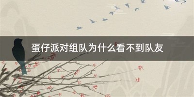 蛋仔派对组队为什么看不到队友