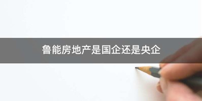 鲁能房地产是国企还是央企