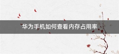 华为手机如何查看内存占用率