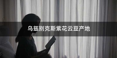乌兹别克斯紫花云豆产地