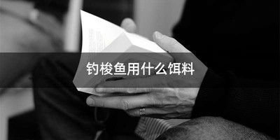 钓梭鱼用什么饵料