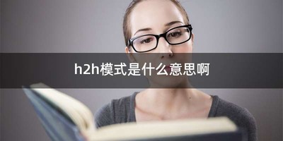 h2h模式是什么意思啊