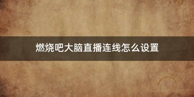 燃烧吧大脑直播连线怎么设置